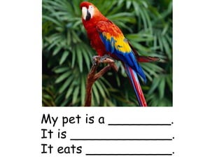 My pet is a ________.
It is _____________.
It eats ___________.