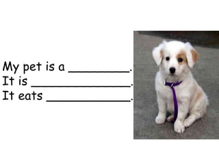 My pet is a ________.
It is _____________.
It eats ___________.
 