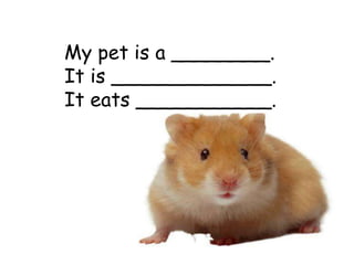 My pet is a ________.
It is _____________.
It eats ___________.
 