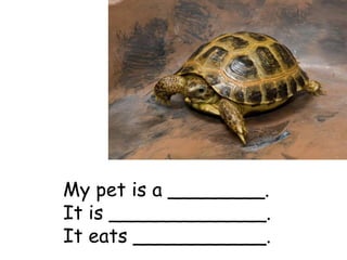 My pet is a ________.
It is _____________.
It eats ___________.
 