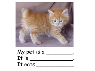 My pet is a ________.
It is _____________.
It eats ___________.
 