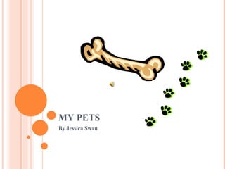 MY PETS By Jessica Swan 