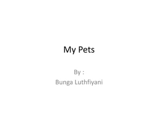 My Pets
By :
Bunga Luthfiyani
 