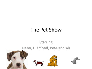 The Pet Show

         Starring
Debo, Diamond, Pete and Ali
 