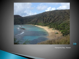 Hanauma Bay, Hawaii 
 