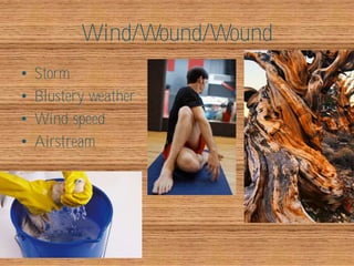 Wind/Wound/Wound
•   Storm
•   Blustery weather
•   Wind speed
•   Airstream
 