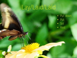 Lay/Laid/Laid
                •   Put down
                •   Put
                •   Set
                •   Rest
 
