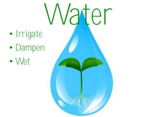 Water
• Irrigate
• Dampen
• Wet
 