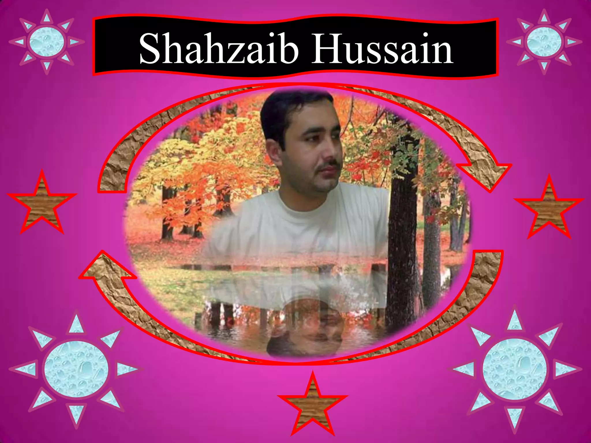 shahzaib-hussain-pptx