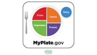 Recommended Plate Understanding MyPlate: A Guide to Balanced Nutrition and Healthy Eating ...