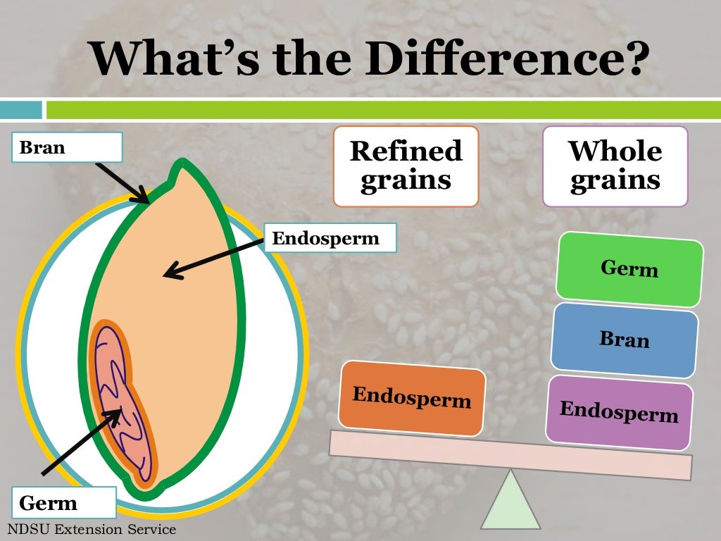 MyPlate Make Half Your Grains Whole Grains