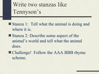 Write two stanzas like
Tennyson’s
Stanza 1: Tell what the animal is doing and
where it is.
Stanza 2: Describe some aspect of the
animal’s world and tell what the animal
does.
Challenge! Follow the AAA BBB rhyme
scheme.

 