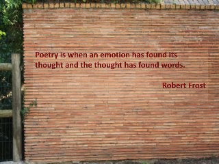 My poetic journey of 2014