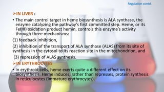 Regulation contd.
IN LIVER :
• The main control target in heme biosynthesis is ALA synthase, the
enzyme catalyzing the pathway’s first committed step. Heme, or its
Fe(III) oxidation product hemin, controls this enzyme’s activity
through three mechanisms:
(1) feedback inhibition,
(2) inhibition of the transport of ALA synthase (ALAS) from its site of
synthesis in the cytosol to its reaction site in the mitochondrion, and
(3) repression of ALAS synthesis.
IN ERYTHROCYTES
• In erythroid cells, heme exerts quite a different effect on its
biosynthesis. Heme induces, rather than represses, protein synthesis
in reticulocytes (immature erythrocytes).
 