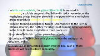 Catabolism contd.
• In birds and amphibia, the green biliverdin IX is excreted; in
mammals, a soluble enzyme called biliverdin reductase reduces the
methylene bridge between pyrrole III and pyrrole IV to a methylene
group to produce bilirubin, a yellow pigment
• Bilirubin formed in peripheral tissues is transported to the liver by
plasma albumin. The further metabolism of bilirubin occurs primarily
in the liver. It can be divided into three processes:
(1) uptake of bilirubin by liver parenchymal cells,
(2) conjugation of bilirubin with glucuronate in the endoplasmic
reticulum, and
(3) secretion of conjugated bilirubin into the bile. Each of these
processes will be considered separately.
 