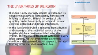 THE LIVER TAKES UP BILIRUBIN
• Bilirubin is only sparingly soluble in water, but its
solubility in plasma is increased by noncovalent
binding to albumin. Bilirubin in excess of this
quantity can be bound only loosely and thus can
easily be detached and diffuse into tissues.
• In the liver, the bilirubin is removed from albumin
and taken up at the sinusoidal surface of the
hepatocytes by a carrier-mediated saturable
system. This facilitated transport system has a very
large capacity, so that even under pathologic
conditions the system does not appear to be rate-
limiting in the metabolism of bilirubin.
Catabolism contd.
 