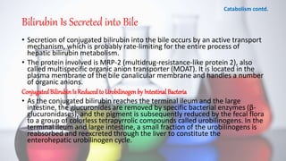 Bilirubin Is Secreted into Bile
• Secretion of conjugated bilirubin into the bile occurs by an active transport
mechanism, which is probably rate-limiting for the entire process of
hepatic bilirubin metabolism.
• The protein involved is MRP-2 (multidrug-resistance-like protein 2), also
called multispecific organic anion transporter (MOAT). It is located in the
plasma membrane of the bile canalicular membrane and handles a number
of organic anions.
ConjugatedBilirubinIs Reduced to Urobilinogenby Intestinal Bacteria
• As the conjugated bilirubin reaches the terminal ileum and the large
intestine, the glucuronides are removed by specific bacterial enzymes (β-
glucuronidases), and the pigment is subsequently reduced by the fecal flora
to a group of colorless tetrapyrrolic compounds called urobilinogens. In the
terminal ileum and large intestine, a small fraction of the urobilinogens is
reabsorbed and reexcreted through the liver to constitute the
enterohepatic urobilinogen cycle.
Catabolism contd.
 