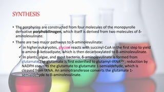 SYNTHESIS
• The porphyrins are constructed from four molecules of the monopyrolle
derivative porphobilinogen, which itself is derived from two molecules of δ-
aminolevulinate.
• There are two major pathways to δ-aminolevulinate:
 in higher eukaryotes, glycine reacts with succinyl-CoA in the first step to yield
α-amino-β-ketoadipate, which is then decarboxylated to δ-aminolevulinate.
 In plants, algae, and most bacteria, δ-aminolevulinate is formed from
glutamate.The glutamate is first esterified to glutamyl-tRNAGlu ; reduction by
NADPH converts the glutamate to glutamate 1-semialdehyde, which is
cleaved from tRNA. An aminotransferase converts the glutamate 1-
semialdehyde to δ-aminolevulinate.
 