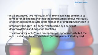 Synthesis contd.
• In all organisms, two molecules of δ-aminolevulinate condense to
form porphobilinogen and then the condensation of four molecules
of porphobilinogen results in the formation of uroporphybilinogen lll.
• uroporphybilinogen lll is converted to heme by a series of
decarboxylation and oxidation reactions
• The introducing of Fe+2 into protoporphyrin spontaneously, but the
rate is enhanced by ferrochelatase ( an enzyme inhibited by lead.
 