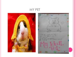 MY PET
 