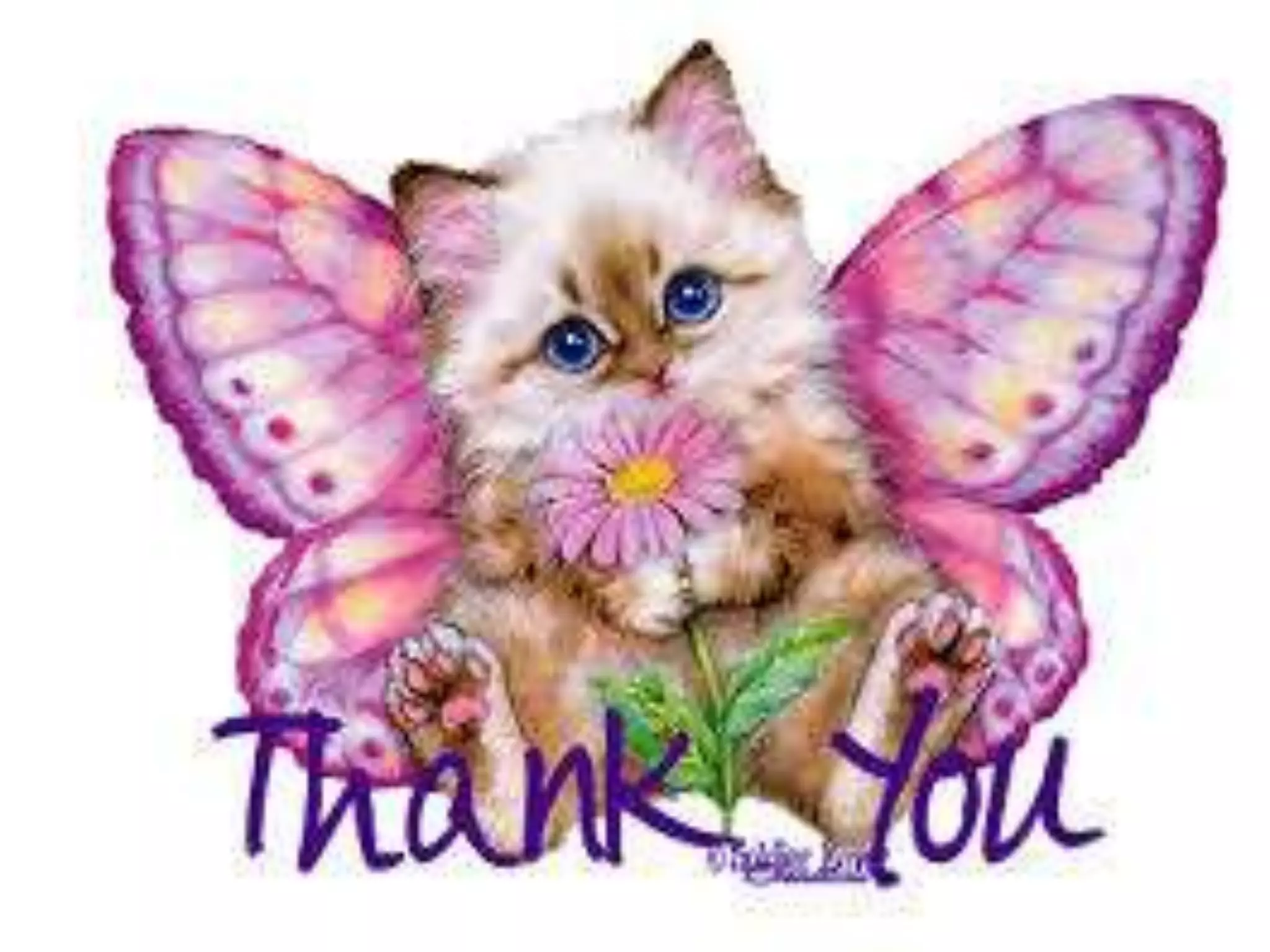 Nursing informatic'spresentation