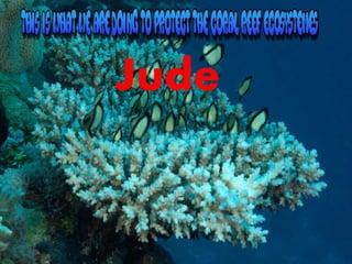 Jude
 