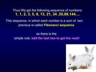 Thus  We  get the following sequence of numbers :  1, 1, 2, 3, 5, 8, 13, 21, 34  ,55,89,144. ...   This sequence, in which each number is a sum of  two  previous is called   Fibonacci sequence   so there is the  simple rule:   add the last two to get the next!   