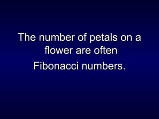 The number of petals on a flower are often  Fibonacci numbers. 
