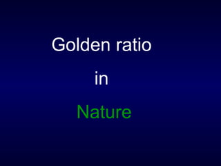Golden ratio  in   Nature 