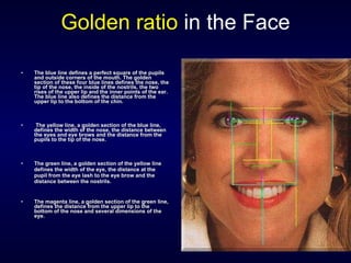 Golden ratio   in the Face The blue line defines a perfect square of the pupils and outside corners of the mouth. The golden section of these four blue lines defines the nose, the tip of the nose, the inside of the nostrils, the two rises of the upper lip and the inner points of the ear. The blue line also defines the distance from the upper lip to the bottom of the chin. The yellow line, a golden section of the blue line, defines the width of the nose, the distance between the eyes and eye brows and the distance from the pupils to the tip of the nose. The green line, a golden section of the yellow line defines the width of the eye, the distance at the pupil from the eye lash to the eye brow and the distance between the nostrils. The magenta line, a golden section of the green line, defines the distance from the upper lip to the bottom of the nose and several dimensions of the eye. 