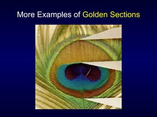 More Examples of  Golden Sections 