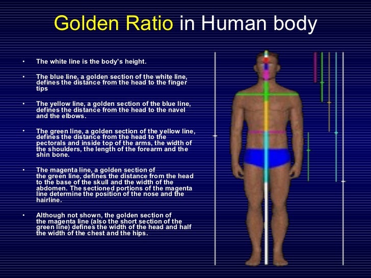 Fibonacci Sequence and Golden Ratio