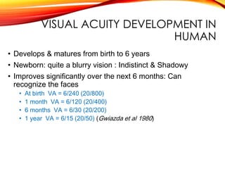 VISUAL ACUITY DEVELOPMENT IN
HUMAN
• Develops & matures from birth to 6 years
• Newborn: quite a blurry vision : Indistinct & Shadowy
• Improves significantly over the next 6 months: Can
recognize the faces
• At birth VA = 6/240 (20/800)
• 1 month VA = 6/120 (20/400)
• 6 months VA = 6/30 (20/200)
• 1 year VA = 6/15 (20/50) (Gwiazda et al 1980)
 