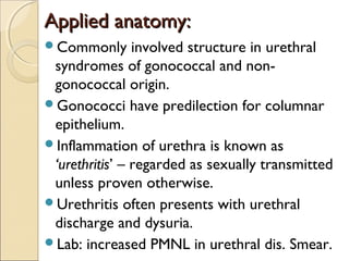 Applied anatomy:Applied anatomy:
Commonly involved structure in urethral
syndromes of gonococcal and non-
gonococcal origin.
Gonococci have predilection for columnar
epithelium.
Inflammation of urethra is known as
‘urethritis’ – regarded as sexually transmitted
unless proven otherwise.
Urethritis often presents with urethral
discharge and dysuria.
Lab: increased PMNL in urethral dis. Smear.
 