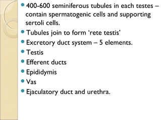 400-600 seminiferous tubules in each testes –
contain spermatogenic cells and supporting
sertoli cells.
Tubules join to form ‘rete testis’
Excretory duct system – 5 elements.
Testis
Efferent ducts
Epididymis
Vas
Ejaculatory duct and urethra.
 