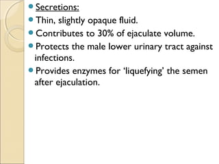Secretions:
Thin, slightly opaque fluid.
Contributes to 30% of ejaculate volume.
Protects the male lower urinary tract against
infections.
Provides enzymes for ‘liquefying’ the semen
after ejaculation.
 