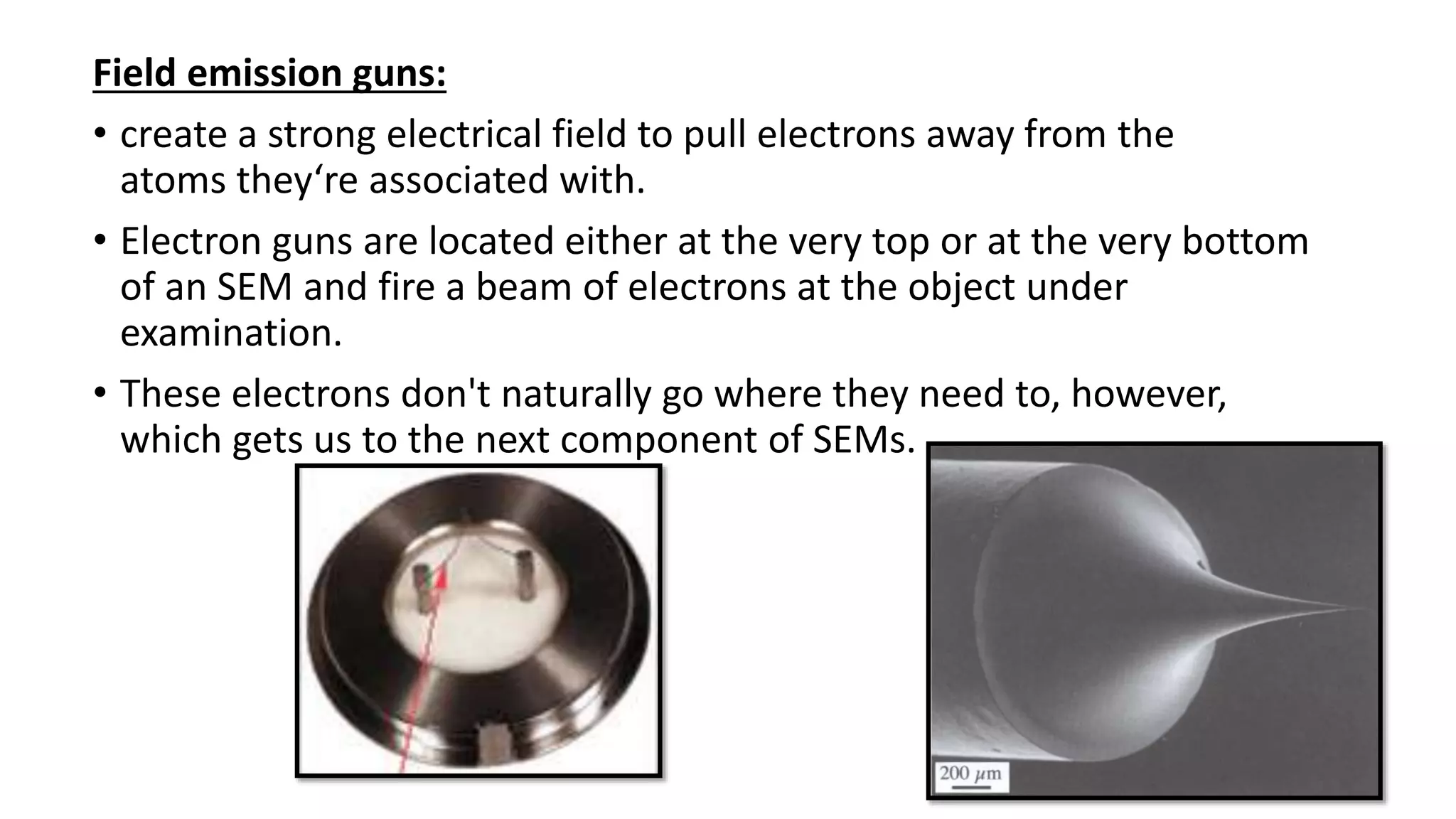 Field emission guns:
• create a strong electrical field to pull electrons away from the
atoms they‘re associated with.
• Electron guns are located either at the very top or at the very bottom
of an SEM and fire a beam of electrons at the object under
examination.
• These electrons don't naturally go where they need to, however,
which gets us to the next component of SEMs.
 