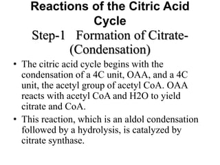 Reactions of the Citric Acid
Cycle
Step-1 Formation of Citrate-
(Condensation)
• The citric acid cycle begins with the
condensation of a 4C unit, OAA, and a 4C
unit, the acetyl group of acetyl CoA. OAA
reacts with acetyl CoA and H2O to yield
citrate and CoA.
• This reaction, which is an aldol condensation
followed by a hydrolysis, is catalyzed by
citrate synthase.
 