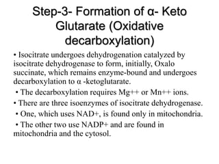Step-3- Formation of α- Keto
Glutarate (Oxidative
decarboxylation)
• Isocitrate undergoes dehydrogenation catalyzed by
isocitrate dehydrogenase to form, initially, Oxalo
succinate, which remains enzyme-bound and undergoes
decarboxylation to α -ketoglutarate.
• The decarboxylation requires Mg++ or Mn++ ions.
• There are three isoenzymes of isocitrate dehydrogenase.
• One, which uses NAD+, is found only in mitochondria.
• The other two use NADP+ and are found in
mitochondria and the cytosol.
 