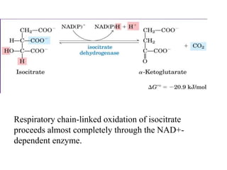 Respiratory chain-linked oxidation of isocitrate
proceeds almost completely through the NAD+-
dependent enzyme.
 