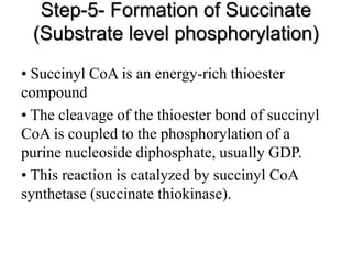 Step-5- Formation of Succinate
(Substrate level phosphorylation)
• Succinyl CoA is an energy-rich thioester
compound
• The cleavage of the thioester bond of succinyl
CoA is coupled to the phosphorylation of a
purine nucleoside diphosphate, usually GDP.
• This reaction is catalyzed by succinyl CoA
synthetase (succinate thiokinase).
 