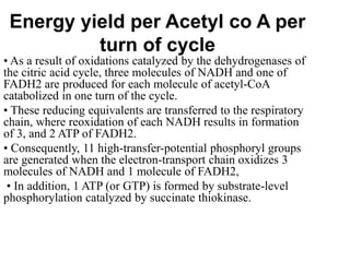 Energy yield per Acetyl co A per
turn of cycle
• As a result of oxidations catalyzed by the dehydrogenases of
the citric acid cycle, three molecules of NADH and one of
FADH2 are produced for each molecule of acetyl-CoA
catabolized in one turn of the cycle.
• These reducing equivalents are transferred to the respiratory
chain, where reoxidation of each NADH results in formation
of 3, and 2 ATP of FADH2.
• Consequently, 11 high-transfer-potential phosphoryl groups
are generated when the electron-transport chain oxidizes 3
molecules of NADH and 1 molecule of FADH2,
• In addition, 1 ATP (or GTP) is formed by substrate-level
phosphorylation catalyzed by succinate thiokinase.
 