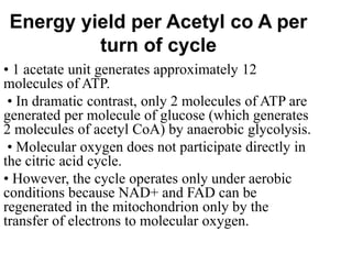 Energy yield per Acetyl co A per
turn of cycle
• 1 acetate unit generates approximately 12
molecules of ATP.
• In dramatic contrast, only 2 molecules of ATP are
generated per molecule of glucose (which generates
2 molecules of acetyl CoA) by anaerobic glycolysis.
• Molecular oxygen does not participate directly in
the citric acid cycle.
• However, the cycle operates only under aerobic
conditions because NAD+ and FAD can be
regenerated in the mitochondrion only by the
transfer of electrons to molecular oxygen.
 