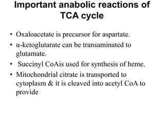 Important anabolic reactions of
TCA cycle
• Oxaloacetate is precursor for aspartate.
• α-ketoglutarate can be transaminated to
glutamate.
• Succinyl CoAis used for synthesis of heme.
• Mitochondrial citrate is transported to
cytoplasm & it is cleaved into acetyl CoA to
provide
 