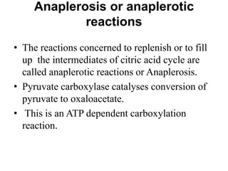 Anaplerosis or anaplerotic
reactions
• The reactions concerned to replenish or to fill
up the intermediates of citric acid cycle are
called anaplerotic reactions or Anaplerosis.
• Pyruvate carboxylase catalyses conversion of
pyruvate to oxaloacetate.
• This is an ATP dependent carboxylation
reaction.
 