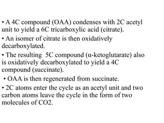 • A 4C compound (OAA) condenses with 2C acetyl
unit to yield a 6C tricarboxylic acid (citrate).
• An isomer of citrate is then oxidatively
decarboxylated.
• The resulting 5C compound (α-ketoglutarate) also
is oxidatively decarboxylated to yield a 4C
compound (succinate).
• OAA is then regenerated from succinate.
• 2C atoms enter the cycle as an acetyl unit and two
carbon atoms leave the cycle in the form of two
molecules of CO2.
 