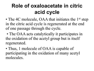 Role of oxaloacetate in citric
acid cycle
• The 4C molecule, OAA that initiates the 1st step
in the citric acid cycle is regenerated at the end
of one passage through the cycle.
• The OAA acts catalytically it participates in
the oxidation of the acetyl group but is itself
regenerated.
• Thus, 1 molecule of OAA is capable of
participating in the oxidation of many acetyl
molecules.
 