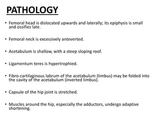 PATHOLOGY
• Femoral head is dislocated upwards and laterally; its epiphysis is small
and ossifies late.
• Femoral neck is excessively anteverted.
• Acetabulum is shallow, with a steep sloping roof.
• Ligamentum teres is hypertrophied.
• Fibro-cartilaginous labrum of the acetabulum (limbus) may be folded into
the cavity of the acetabulum (inverted limbus).
• Capsule of the hip joint is stretched.
• Muscles around the hip, especially the adductors, undergo adaptive
shortening.
 