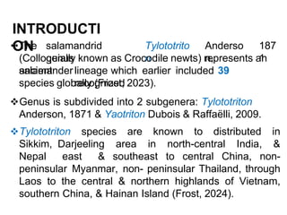 The salamandrid
genus
Tylototrito
n
Anderso
n,
187
1
(Colloquially known as Crocodile newts) represents an
ancient
salamanderlineage which earlier included 39
recognized
species globally (Frost, 2023).
Genus is subdivided into 2 subgenera: Tylototriton
Anderson, 1871 & Yaotriton Dubois & Raffaëlli, 2009.
Tylototriton species are known to distributed in
Sikkim, Darjeeling area in north-central India, &
Nepal east & southeast to central China, non-
peninsular Myanmar, non- peninsular Thailand, through
Laos to the central & northern highlands of Vietnam,
southern China, & Hainan Island (Frost, 2024).
INTRODUCTI
ON
 