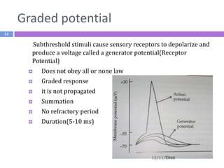 Graded potential
12

Subthreshold stimuli cause sensory receptors to depolarize and
produce a voltage called a generator potential(Receptor
Potential)


Does not obey all or none law



Graded response



it is not propagated



Summation



No refractory period



Duration(5-10 ms)

12/11/2013

 